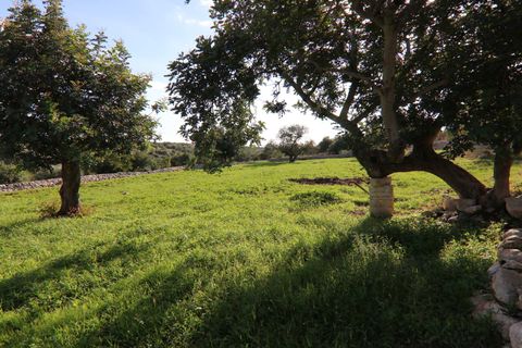 Landejendom i Scicli, Ragusa, Scicli - € 250.000 | Ref: V003016 - foto 46
